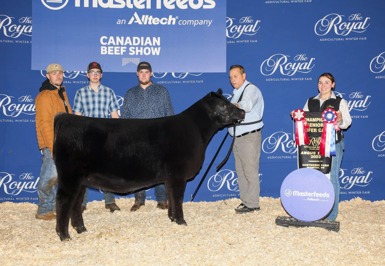 2023 Canadian Beef Show